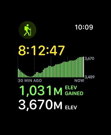 Hiking workout card, metrics: time, elevation