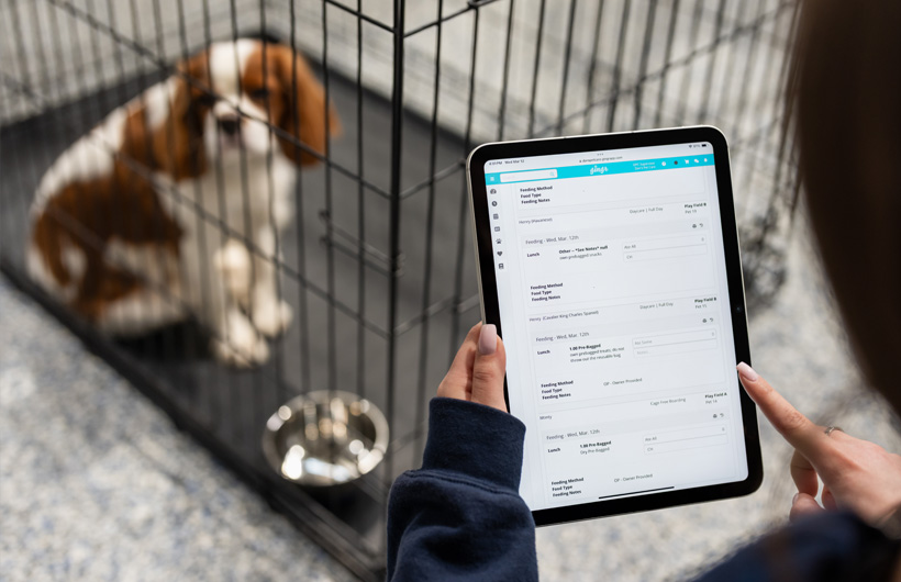 Com o iPad e a app Gingr para empresas de cuidados de animais de companhia, os cuidadores atualizam as informações sobre os animais em tempo real, como a alimentação e o horário da medicação.