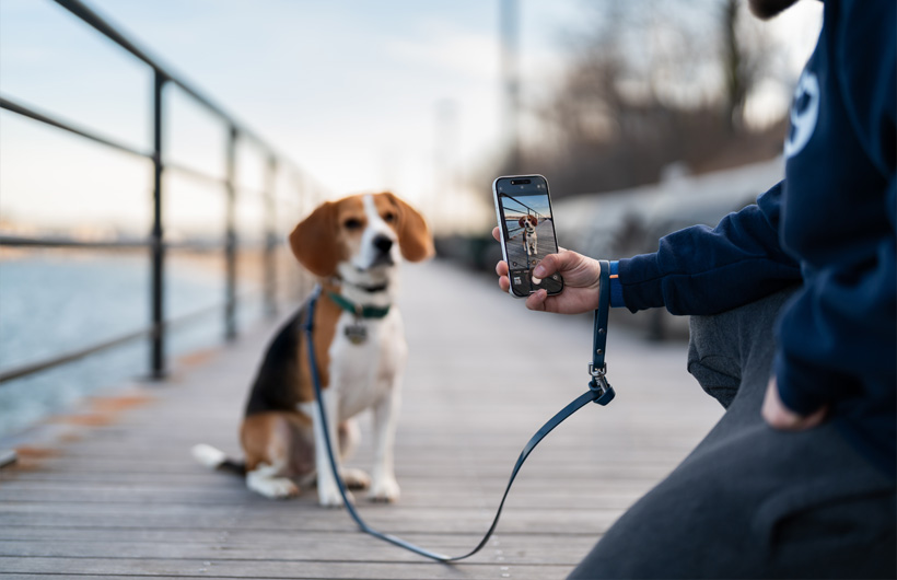A excecional qualidade da câmara do iPhone permite criar relatórios mais elaborados para os tutores dos animais.