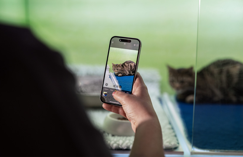 Dierenverpleegkundigen sturen op hun iPhone foto’s van de dieren naar hun baasjes om ze extra gerust te stellen.